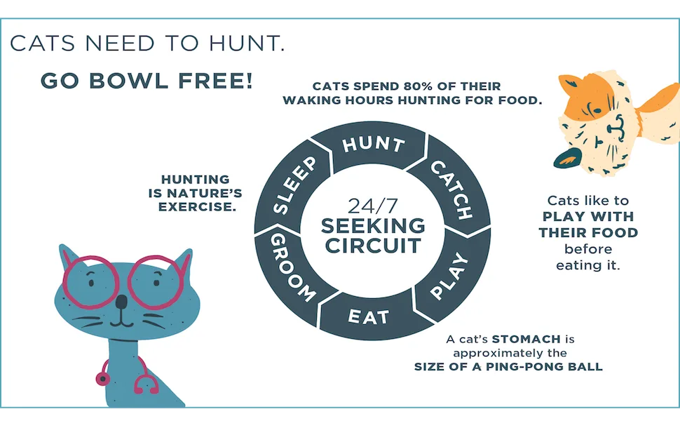 Doc & Phoebe's Indoor Hunting Cat Feeder Pack Of 3 - Hunting Cycle