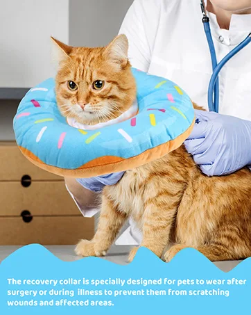 Woiworco Adjustable Cat Recovery Collar, Cute Cat Donut Collar, Soft Cone Collars for Cat, Wound Healing Protective Cone After Surgery Elizabethan Collars for Kitten Pets Medium Blue - Adjustable Cat Recovery Collar