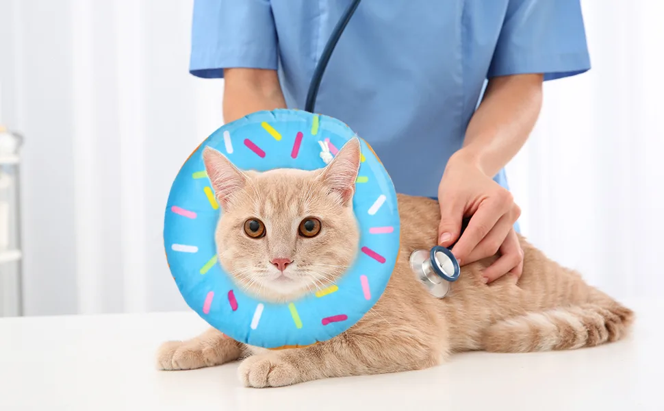 Woiworco Adjustable Cat Recovery Collar, Cute Cat Donut Collar, Soft Cone Collars for Cat, Wound Healing Protective Cone After Surgery Elizabethan Collars for Kitten Pets Medium Blue - Cat Collars