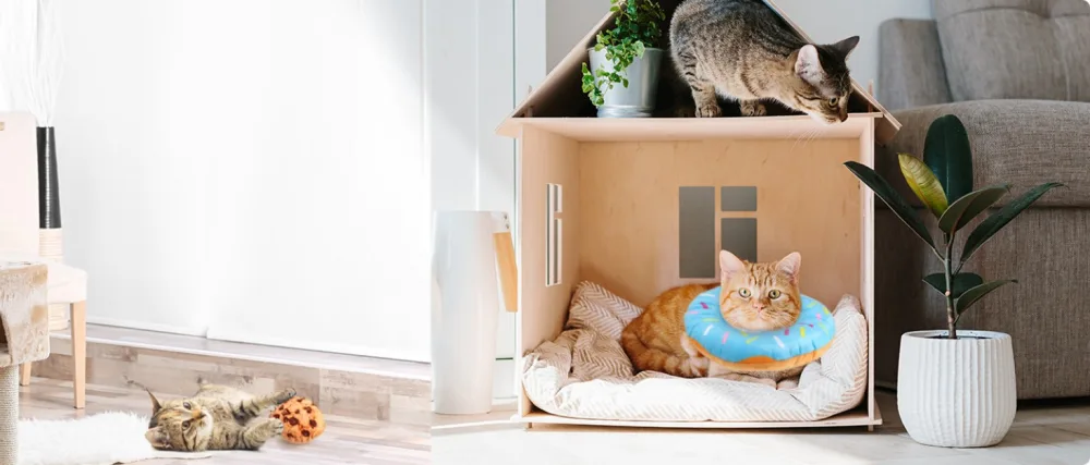 Woiworco Adjustable Cat Recovery Collar, Cute Cat Donut Collar, Soft Cone Collars for Cat, Wound Healing Protective Cone After Surgery Elizabethan Collars for Kitten Pets Medium Blue - Woiworco