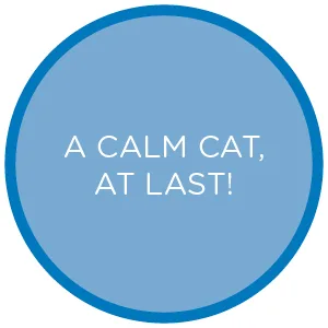 Pet MasterMind Cat Spray Cat Calming Spray - calm relaxed cat