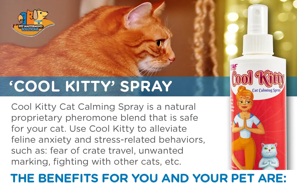 Pet MasterMind Cat Spray Cat Calming Spray - Cool Kitty cat calming spray