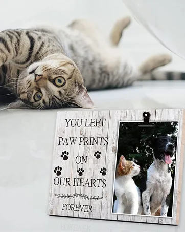Pet Picture Frame Cat or Dog Frame 4x6 Memorial Pet Loss Picture Frame 3 - product information 3