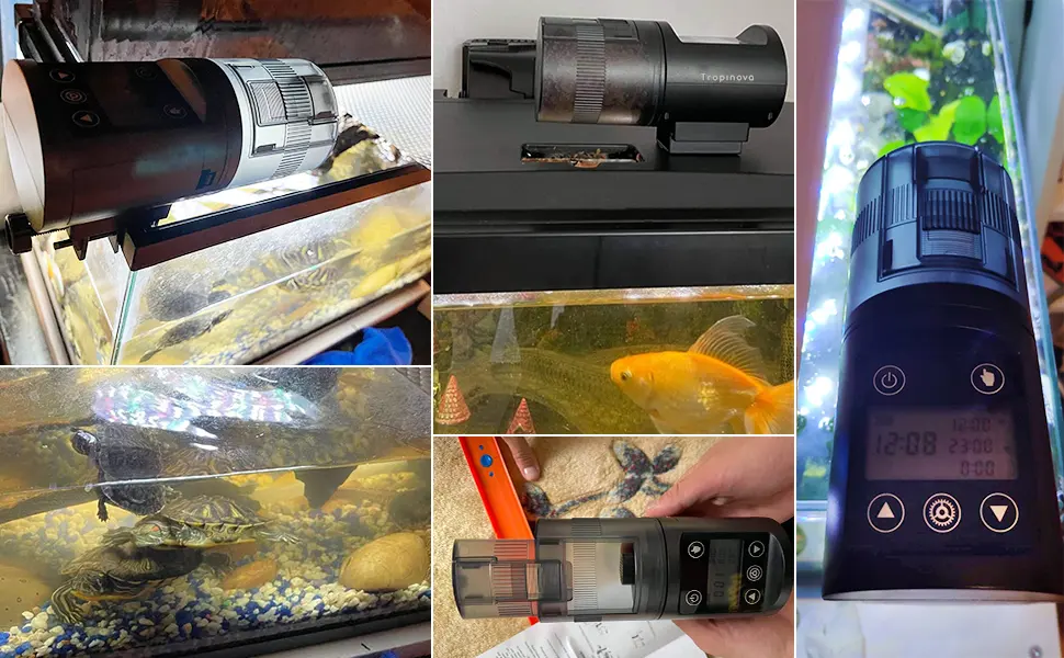 Tropinova Aquarium Automatic Fish Feeder Moisture-Proof Auto Fish Food Dispenser for Aquarium or Small Fish Turtle Tank - Buyer show