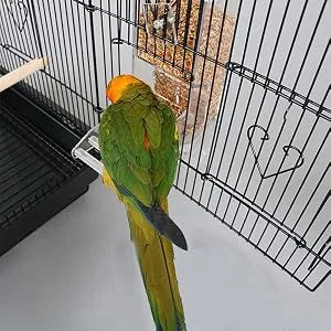 No Split Bird Seed Feeder for Cage,Parrot Automatic Foraging Systems Food Feeding Station with Perch,Heavty Acrylic,One-Step Moulding - No Split Bird Seed Feeder for Cage,Parrot Automatic Foraging Systems,No Mess Parakeet Feeder