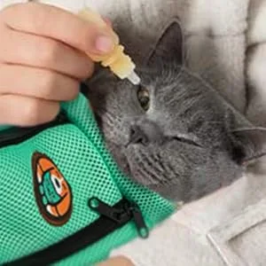AWOOF Grooming Bag for Cats Adjustable Cat Bathing Bag Anti Scratch & Bite Polyester Soft Durable Mesh Cat Shower Bag for Small Medium Large Cats Nail Trimming Ear Cleaning Medicine Taking - Eye drops