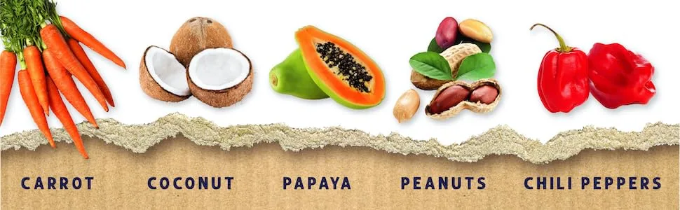 Vitakraft Fresh Super Fruit Cocktail - Tropical Parrot Fruit Blend - Parrot and Parakeet Treats - Vitakraft, super, fruit, cocktail, fruit, vegetables, bird, treat, papaya, carrot, peanuts