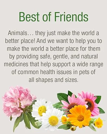 HomeoPet UTI Plus Urinary Tract Infection, Urinary Tract Support for Cats, 15 Milliliters - Best Friends