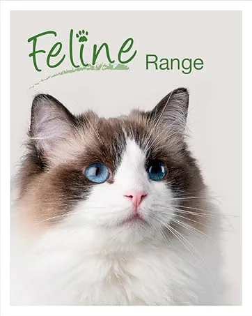 HomeoPet UTI Plus Urinary Tract Infection, Urinary Tract Support for Cats, 15 Milliliters - Feline Range