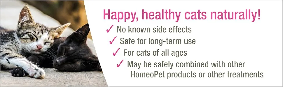 HomeoPet UTI Plus Urinary Tract Infection, Urinary Tract Support for Cats, 15 Milliliters - Two kittens sleeping