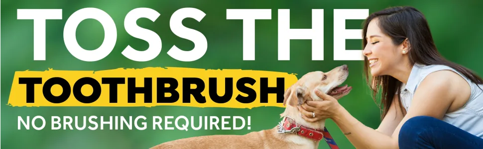 TropiClean Fresh Breath Cat 16 oz Cat - toothpaste toothbrush brush tooth tartar plaque natural control remove gingivitis disease brushless