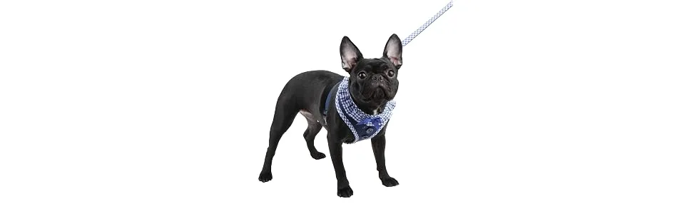 PUPPIA Authentic Vivien Pet Harness Small Red - product information 4