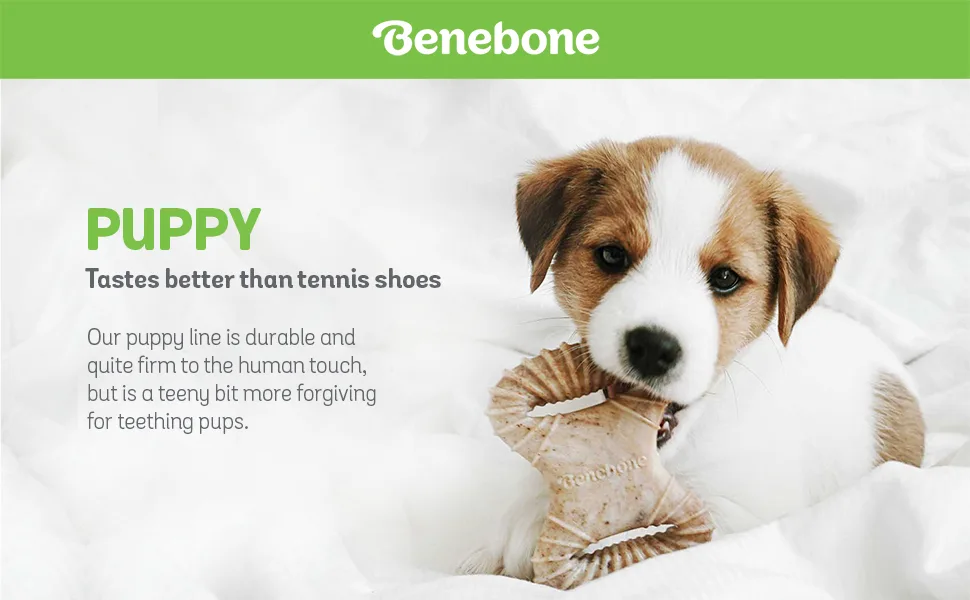 Benebone Puppy Dog Chew Toy, Softer for Modest Chewers, Made in USA Tiny - 2-Pack: Dental Chew/Wishbone - product information 1