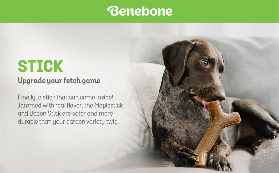 Benebone Maplestick/Bacon Stick Durable Dog Chew Toy for Aggressive Chewers, Made in USA REAL Bacon Medium - product information 1