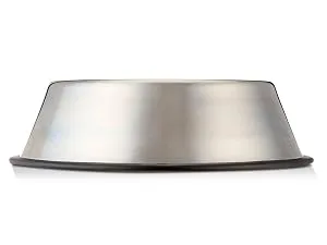 Amazon Basics Stainless Steel Dog Bowl Two-Pack Bowl - Amazon Basics dishwasher safe stainless steel food and water bowl