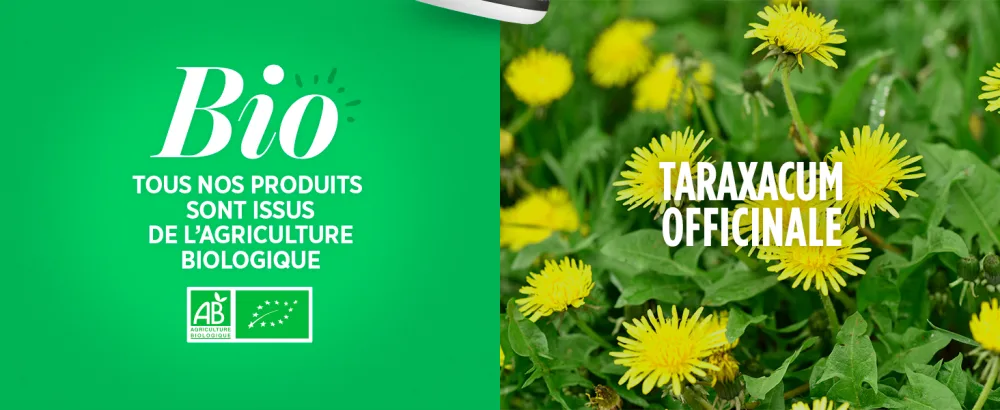 Organic Dandelion - 400 mg - 200 tablets - image 5
