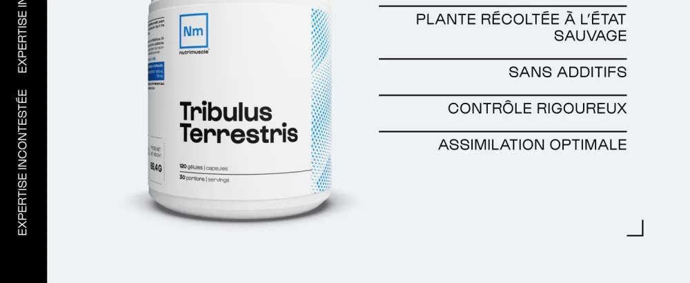 Tribulus Terrestris - 120 capsules - Men's Testosterone Booster - Concentrated in saponins - Sports performance | Nutrimuscle - nutrimuscle musculation complément alimentaire poudre gélule testosterone homme terrestris tribulus