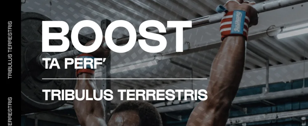 Tribulus Terrestris - 120 capsules - Men's Testosterone Booster - Concentrated in saponins - Sports performance | Nutrimuscle - nutrimuscle musculation complément alimentaire poudre gélule testosterone homme terrestris tribulus