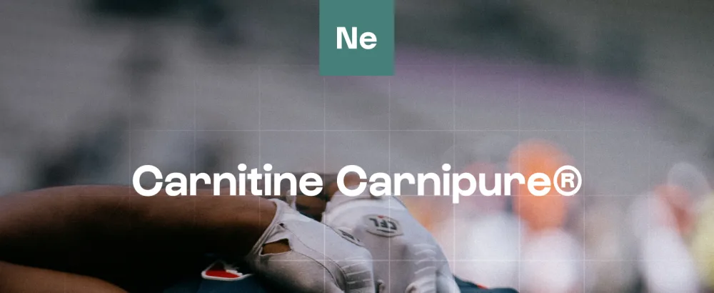 Carnitine Carnipure - 90 Capsules - Fat Burning - Patented Quality - L-Carnitine-L-Tartrate - Vegan - Nutrielement By Nutrimuscle - nutrimuscle nutrielement complément alimentaire poudre gélule bruleur de graisse puissant coupe faim