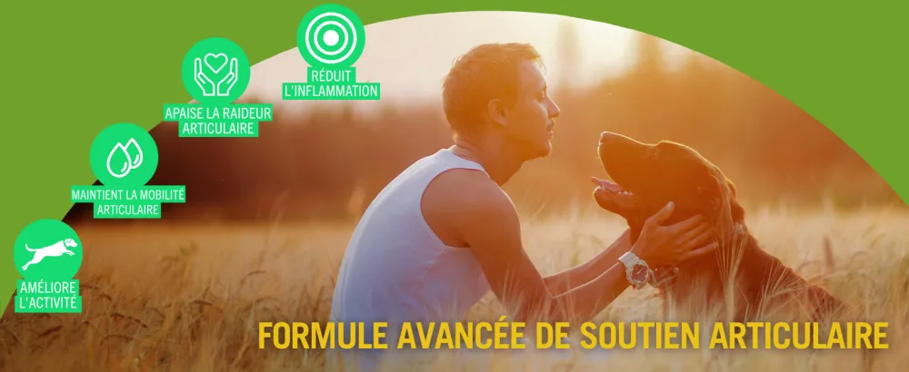 JOINTSURE Young & Active Joint Supplements for Dogs and Puppies Helps with Joint Stiffness 60 Tablets - High in Glucosamine & Green Lipped Mussel - Formule avancee de soutien articulaire
