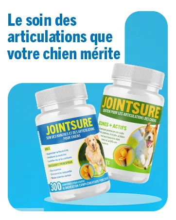 JOINTSURE Young & Active Joint Supplements for Dogs and Puppies Helps with Joint Stiffness 60 Tablets - High in Glucosamine & Green Lipped Mussel - Vetwell