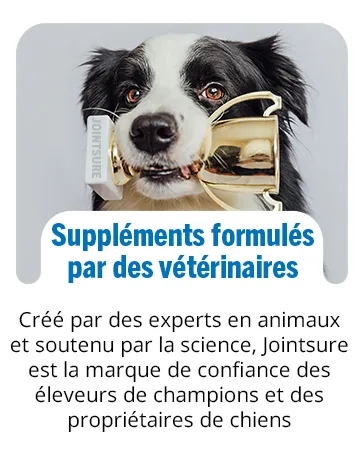 JOINTSURE Young & Active Joint Supplements for Dogs and Puppies Helps with Joint Stiffness 60 Tablets - High in Glucosamine & Green Lipped Mussel - Vetwell