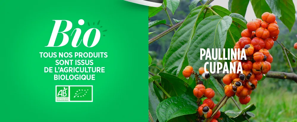 Organic Guarana - 400 mg - 200 tablets - image 5