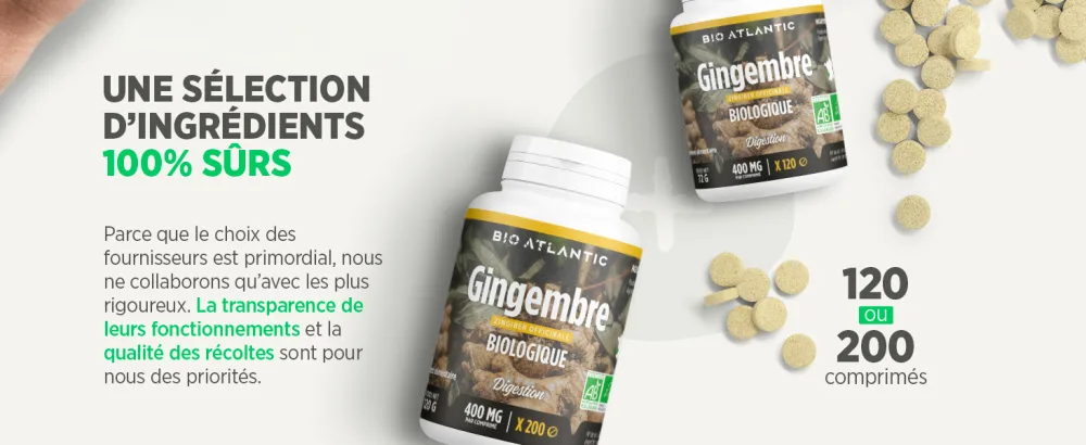 Organic Ginger - 400 mg - 200 tablets - image 4