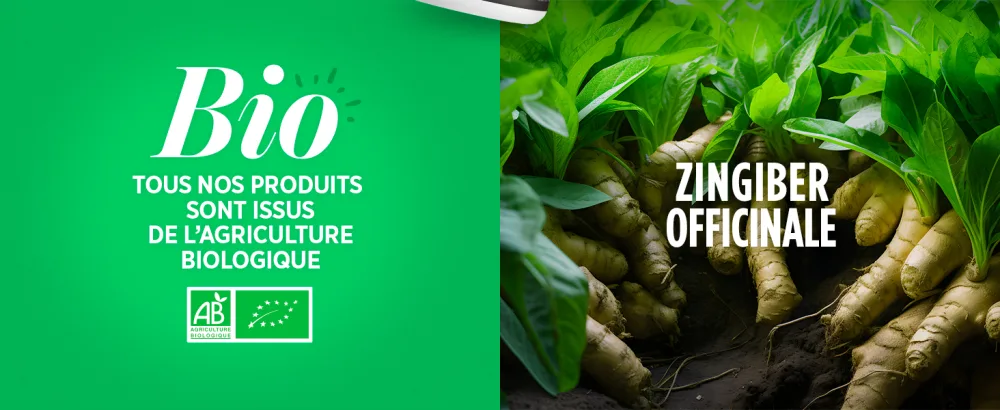 Organic Ginger - 400 mg - 200 tablets - image 5