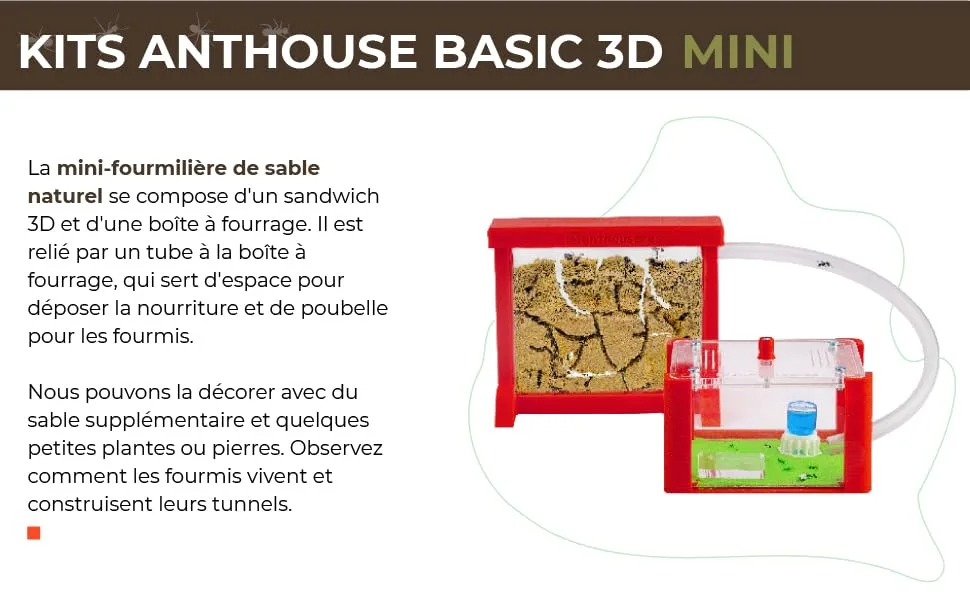 AntHouse - Natural Sand Anthill | Basic Kit (Sandwich + Drilling Box) | Ants Included - anthouse