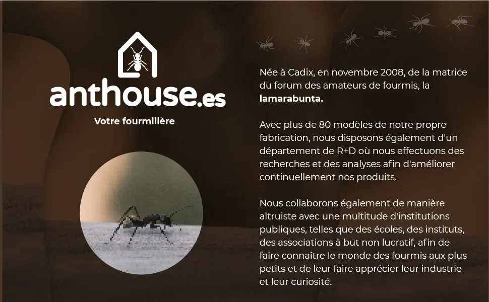 AntHouse - Natural Sand Anthill | Basic Kit (Sandwich + Drilling Box) | Ants Included - anthouse