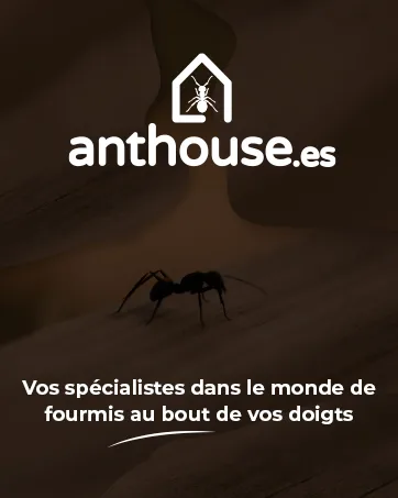 AntHouse - Natural Sand Anthill | Basic Kit (Sandwich + Drilling Box) | Ants Included - Anthouse maison collecter anthouse soins animaux fourmis spécialistes décoration déco