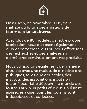 AntHouse - Natural Sand Anthill | Basic Kit (Sandwich + Drilling Box) | Ants Included - Anthouse maison collecter anthouse soins animaux fourmis spécialistes décoration déco
