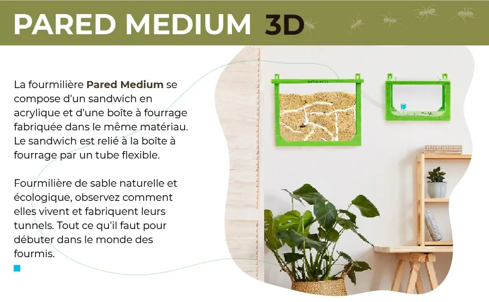 AntHouse - Natural Sand Ant | Medium Red 3D Set (Sandwich + Food Box) | Including Ant Colony - anthouse