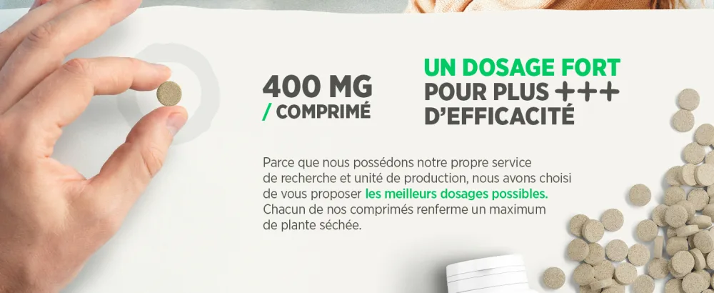 Burdock Organic - 400mg - 200 tablets - image 3