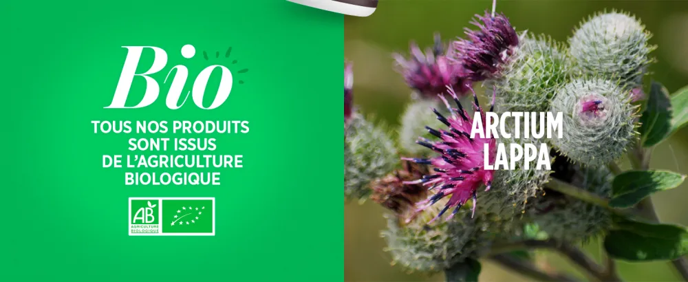 Burdock Organic - 400mg - 200 tablets - image 5