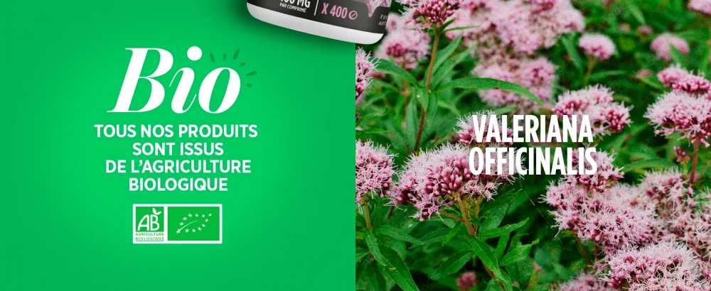 Valerian Bio AB 400mg - 200 Tablets Ingredients for 3 tablets: Dry extract of valerian organic root: 1200 mg talc - image 5