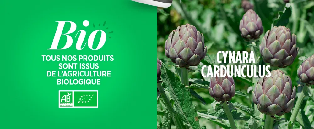 Organic Artichoke (Cynara scolymus) - 400 mg - 120 tablets - image 5