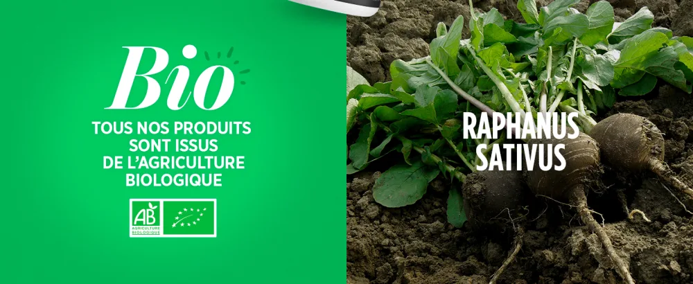 Organic Black Radish - 400 mg - 200 tablets - image 5