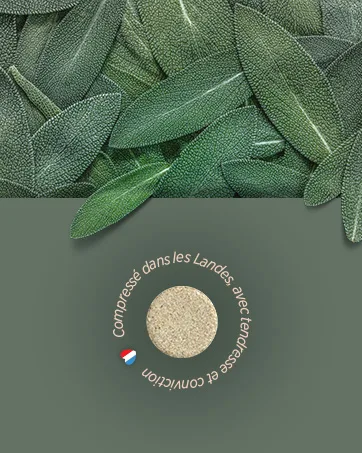 Organic Black Radish - 400 mg - 200 tablets - image 6