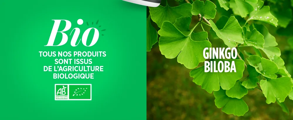 Ginkgo biloba Organic - 120 tablets of 300 mg - image 5