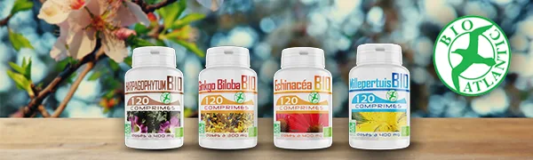 Organic burdock - 400 mg - 120 tablets - product information 22