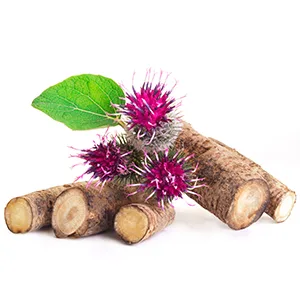 Organic burdock - 400 mg - 120 tablets - product information 24