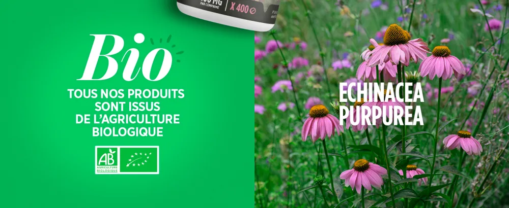 Organic Echinacea AB 400mg - 200 tablets - image 5