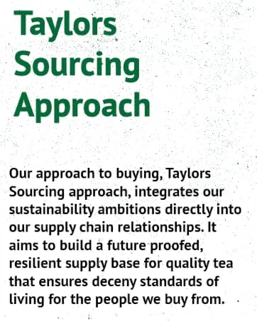 Taylors of Harrogate Decaffee Coffee Bags - Approche d