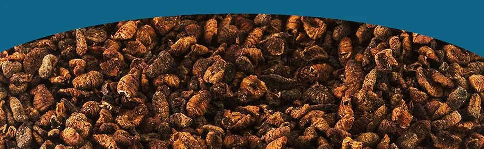 Chubby Silkworms Dried Silkworm Pupae for Wild Birds Koi Fish Reptiles and Other Animals 500g - ver à soie
