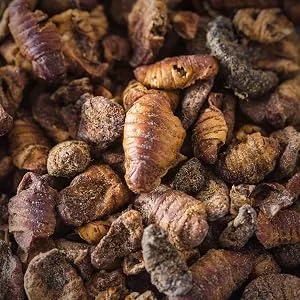 Chubby Silkworms Dried Silkworm Pupae for Wild Birds Koi Fish Reptiles and Other Animals 500g - vers à soie