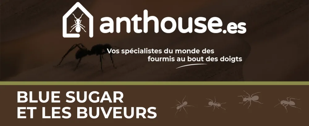 Anthouse | Super Ant Food Blue Sugar 50 ML - Sugar Based | Ideal Supplement for Your Terrarium or Ant Colony | Ant Food - img1