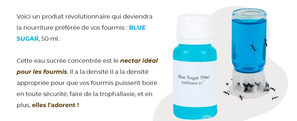 Anthouse | Super Ant Food Blue Sugar 50 ML - Sugar Based | Ideal Supplement for Your Terrarium or Ant Colony | Ant Food - img2