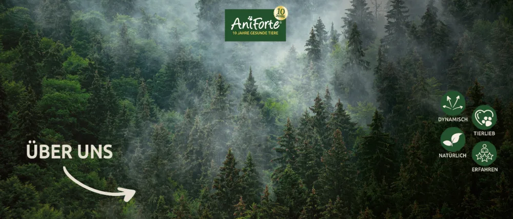 AniForte Summer Vegetable Variations for Raw Food 1kg - BARF Supplement for Dogs - Histoire  AniForte